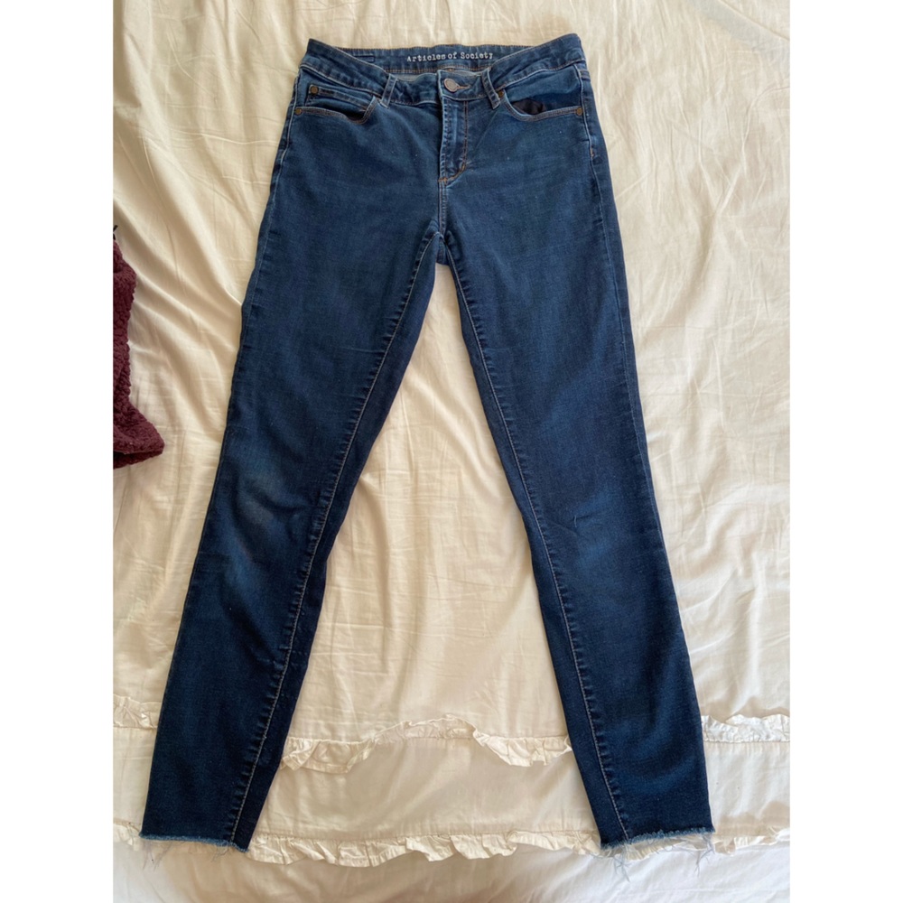 Articles of Society Frayed Skinny Jeans